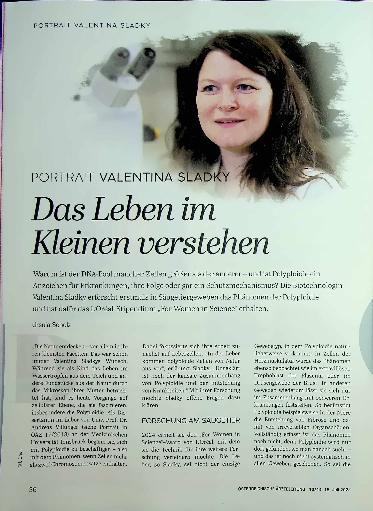 Vorschauseite 1: Das Leben im Kleinen verstehen