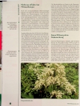 Vorschauseite 4: Pro & Contra Phytoöstrogene im Klimakterium