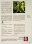 Vorschauseite 5: Pro & Contra Phytoöstrogene im Klimakterium