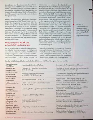 Vorschauseite 2: Schmerzfrei um jeden Preis? Langfristiger Knorpelschaden durch NSAR