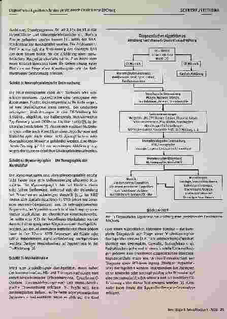 Vorschauseite 2: Diagnostischer Algorithmus für eine persistierende Kreatinkinase-Erhöhung