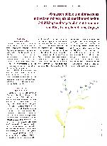 Vorschauseite 2: "Wir hatten die Prognose. Nun lag die Entscheidung bei uns."