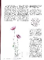 Vorschauseite 3: "Wir hatten die Prognose. Nun lag die Entscheidung bei uns."