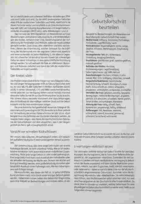Vorschauseite 2: Ein flexibles Partogramm?