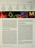 Vorschauseite 2: Transplantationen