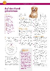 Vorschauseite 3: Von Katzen und Kätzchen