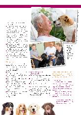 Vorschauseite 4: Von Katzen und Kätzchen