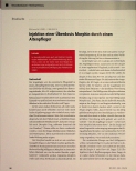 Vorschauseite 1: Injektion einer Überdosis Morphin durch einen Altenpfleger