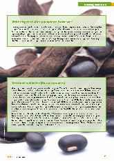 Vorschauseite 3: Parkinson-Juckbohne lindert Symptome.