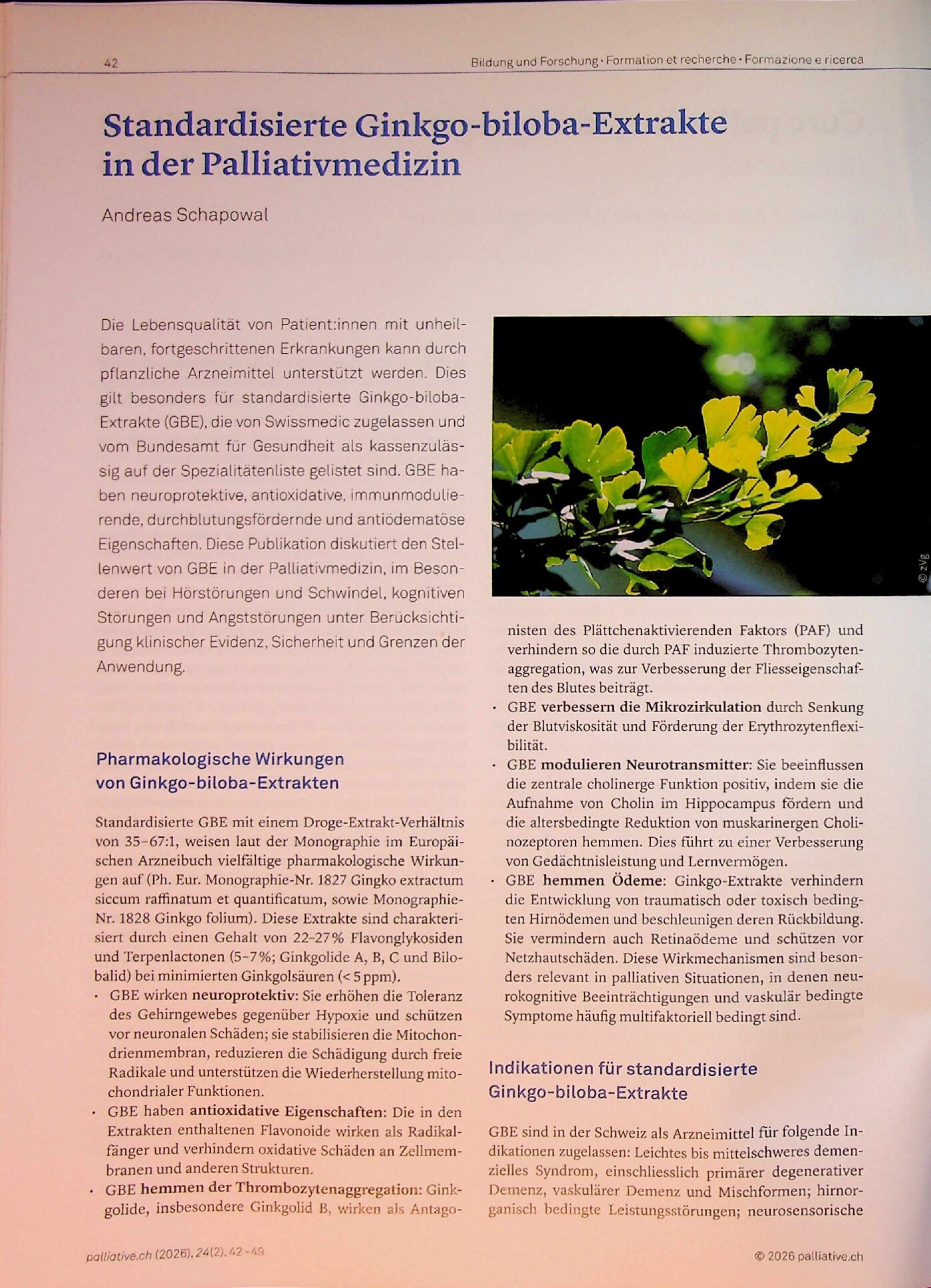 Vorschauseite 1: Standardisierte Ginkgo-biloba-Extrakte in der Palliativmedizin