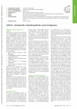 Vorschauseite 1: COPILOT - Interkulturelles, länderübergreifendes Lernen leichtgemacht