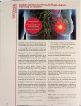 Vorschauseite 6: Evidenz-Update 6 2022: Neues aus der Datenbank PubMed