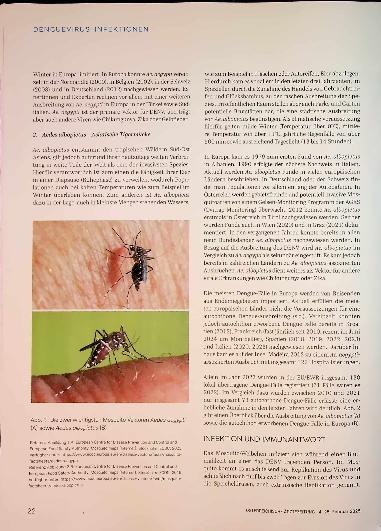 Vorschauseite 3: Denguevirus Infektionen