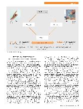 Vorschauseite 5: Heterogenität sichtbar machen – Überindividuelle Kategorien und individuelle Ausdrucksgestalten