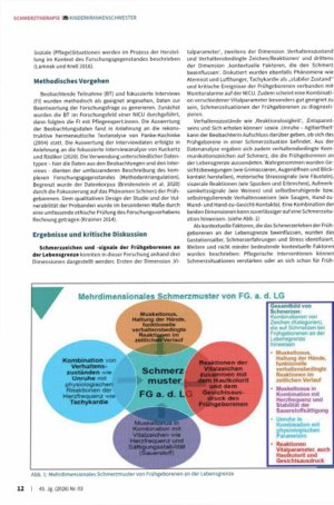 Vorschauseite 3: Der Schwerz der Frühgeborenen — Eine pflegewissewschafHiche qualitative Studie zu Frühgeborenen aw der lebensgroße.