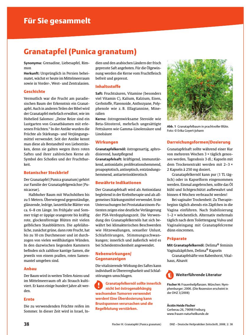 Vorschauseite 1: Granatapfel (Punica granatum)
