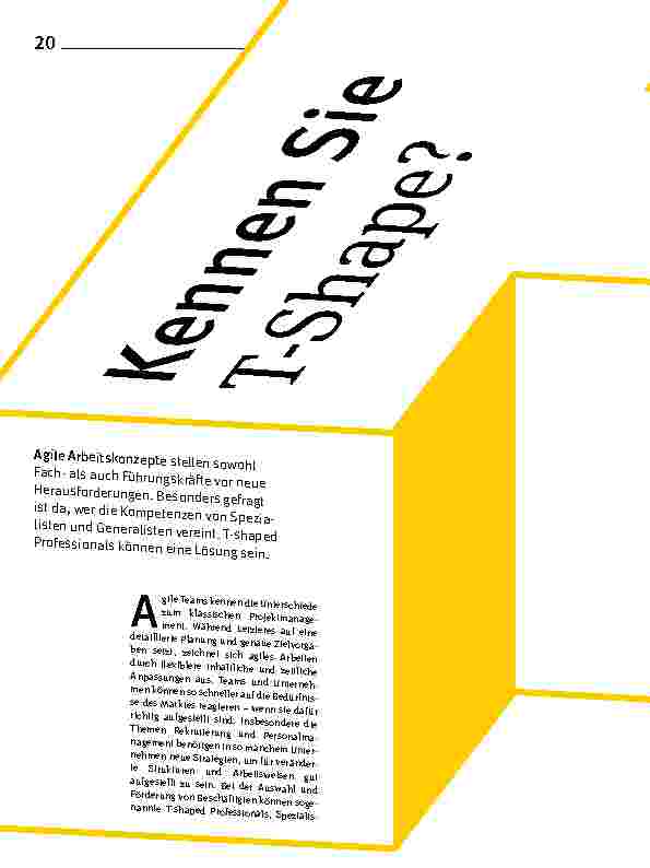 Vorschauseite 1: Kennen Sie T-Shape?