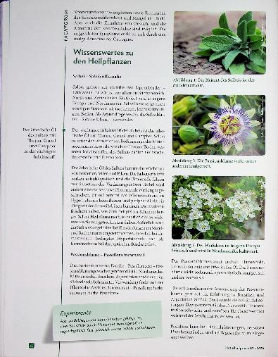 Vorschauseite 2: Organe auf Zeit Phytotherapie bei klimakterische Beschwerden