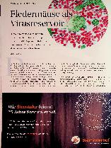 Vorschauseite 1: Fledermäuse als Virusreservoir