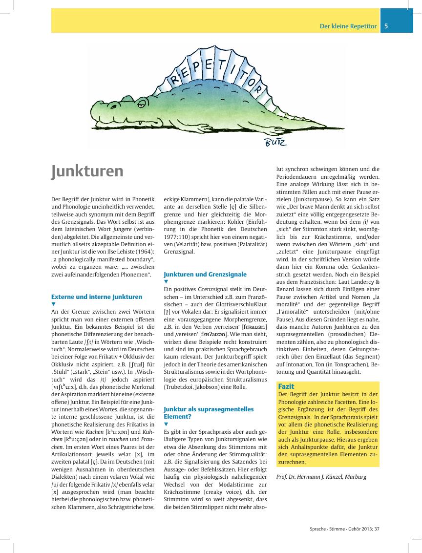 Vorschauseite 1: Junkturen
