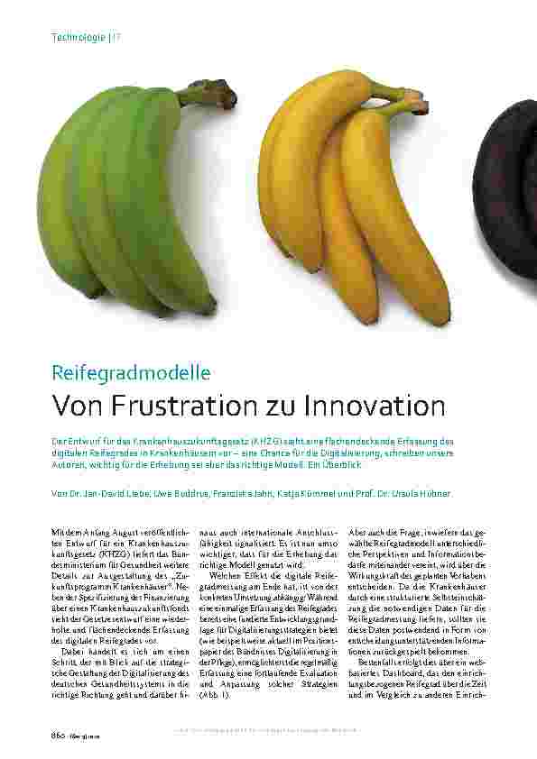 Vorschauseite 1: Reifegradmodelle: Von Frustration zu Innovation
