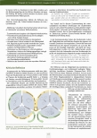Vorschauseite 4: Reflektierter Umgang mit Emotionen in der Lehrer/-innenbildung der Pflegeund Gesundheitsberufe