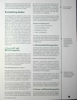 Vorschauseite 2: Erschöpfung ist (k)ein Rätsel Eine Frage der Zusammenhänge