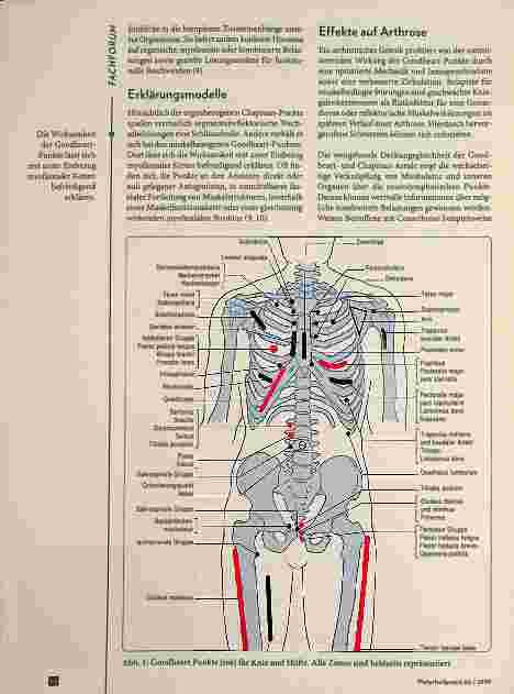 Vorschauseite 2: Neurolymphatische Reflextherapie | bei Coxund Gonarthrose