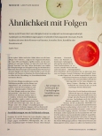 Vorschauseite 1: Ähnlichkeit mit Folgen