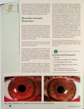 Vorschauseite 4: Bitter und süße - die Bauchspeicheldrüse als polares Organ. Ihre Darstellung im Auge - Teil 1.