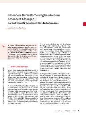 Vorschauseite 1: Besondere Herausforderungen erfordern besondere Lösungen - Eine Handreichung für Menschen mit Ehlers-Danlos-Syndromen