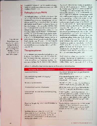 Vorschauseite 3: Durchblutung und belastungsabhängige Beinschmerzen. Physiotherapeutische Versorgung von Betroffenen mit peripherer arterieller Verschlusskrankheit.