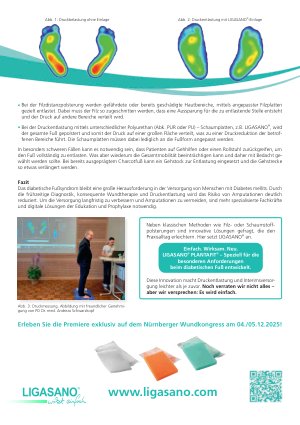 Vorschauseite 2: Diabetischer Fuß - Herausforderungen in der Zukunft Ein Überblick über Pathomechanismus, Diagnostik und Therapie