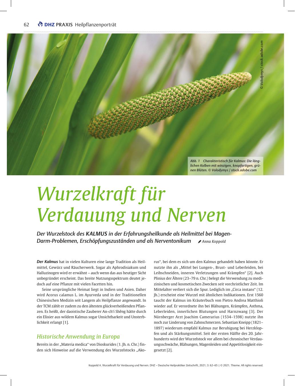 Vorschauseite 1: Wurzelkraft für Verdauung und Nerven