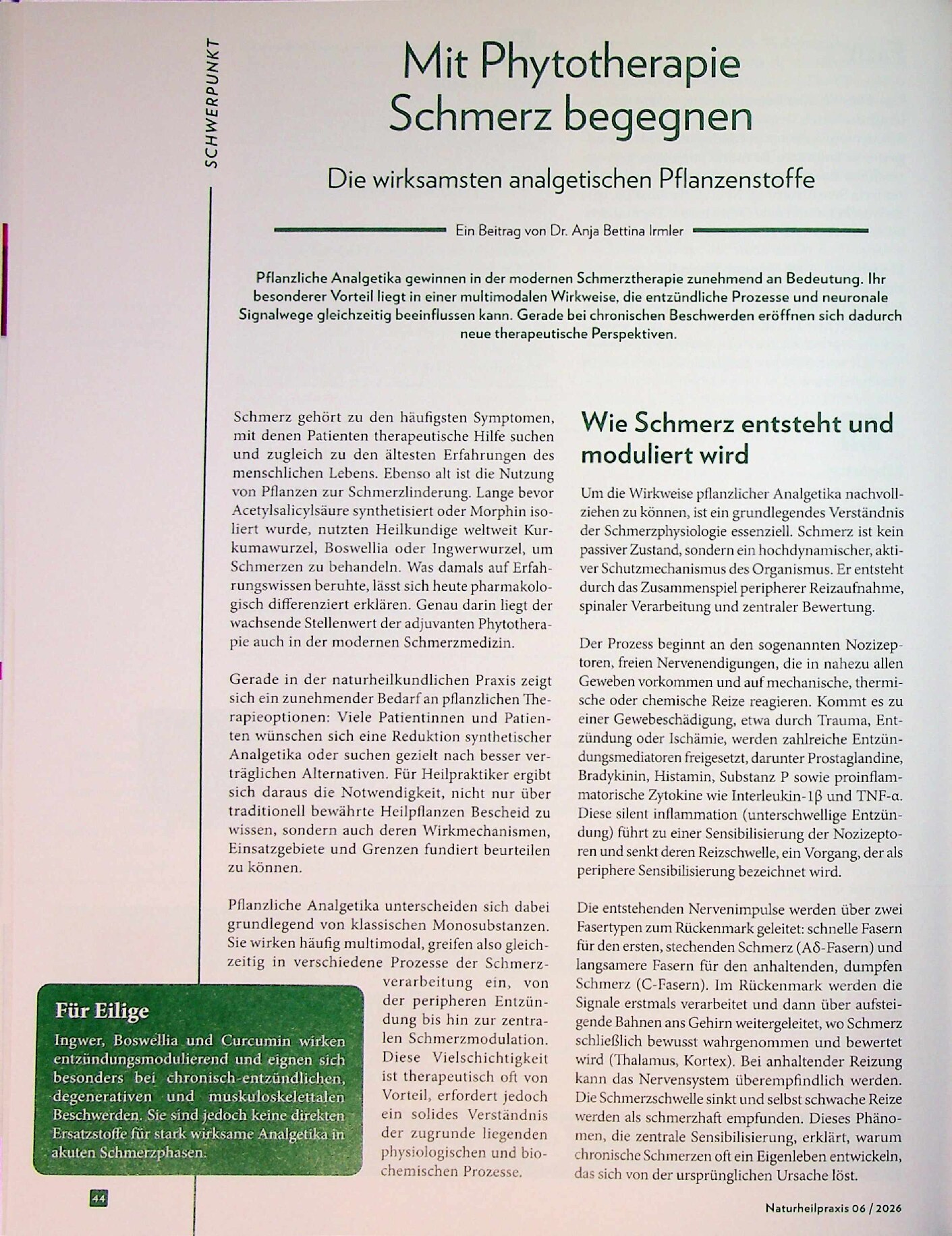 Vorschauseite 1: Mit Phytotherapie in Schmerz begegnen. Die wirksamsten analgetischen Pflanzenstoffe