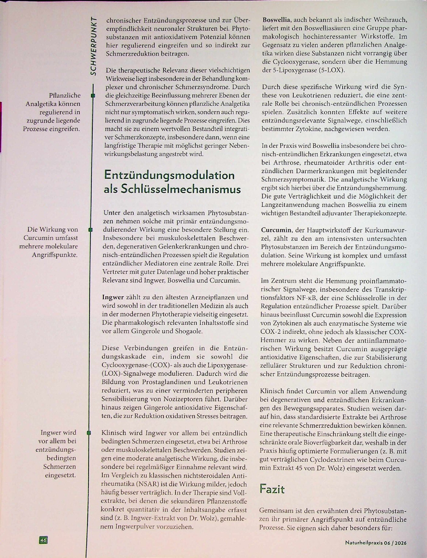 Vorschauseite 3: Mit Phytotherapie in Schmerz begegnen. Die wirksamsten analgetischen Pflanzenstoffe