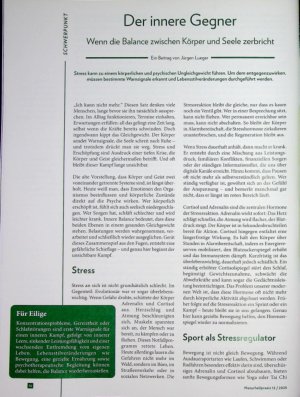 Vorschauseite 1: Der innere Gegner Wenn die Balance zwischen Körper und Seele zerbricht