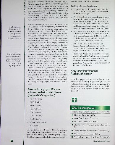 Vorschauseite 4: Alte Weisheiten Bewährte TCM-Heilmethoden gegen Rückenschmerzen