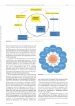 Vorschauseite 5: Implementierung von Advanced Nursing Practice zur Förderung transkultureller Versorgung: Ein Praxisentwicklungsprojekt