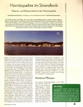 Vorschauseite 1: Homöopathie im Strandkorb: Meeresund Küstenmittel in der Homöopathie