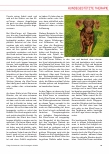 Vorschauseite 2: Vier kurze Beine, treue Augen, großer Effekt: Hundegestützte Therapie in der Gerontopsychiatrie