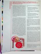 Vorschauseite 1: Subakromiale Schmerzen: Welche Art von Physiotherapie ist am effektivsten und spielt es eine Rolle, ob die Injektion von Kortison mit Ultraschall gesteuert wird?