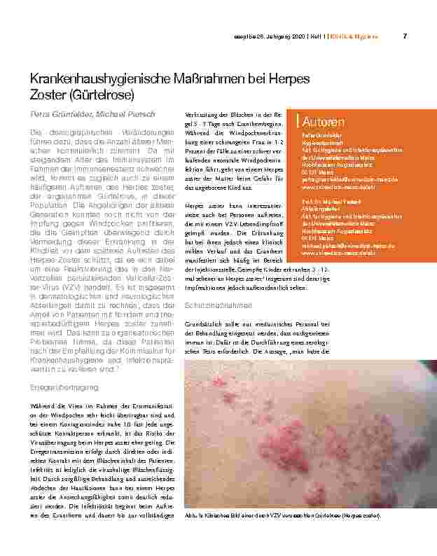 Vorschauseite 1: Krankenhaushygienische Maßnahmen bei Herpes Zoster (Gürtelrose)