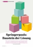 Vorschauseite 1: Springerpools: Baustein der Lösung