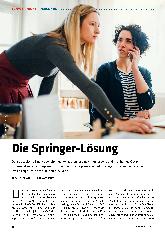 Vorschauseite 1: Die Springerlösung