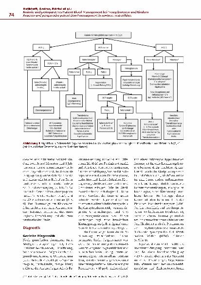 Vorschauseite 3: Anämie und perioperatives Patient Blood Management bei Neugeborenen und Kindern