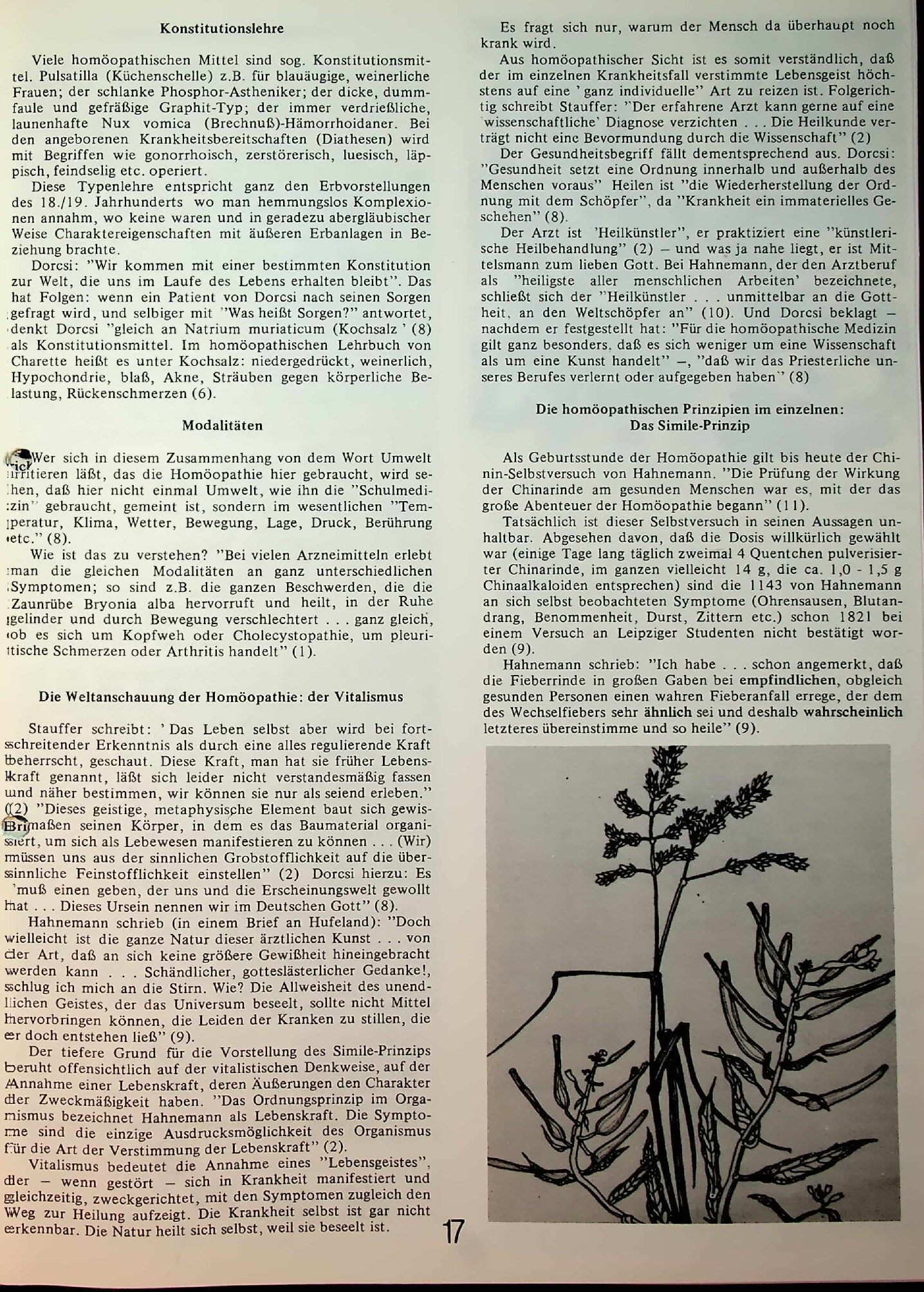 Vorschauseite 2: Homöopathie