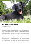 Vorschauseite 1: Auf den Hund gekommen: Tiergestützte Interventionen