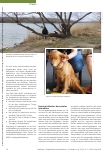 Vorschauseite 3: Auf den Hund gekommen: Tiergestützte Interventionen