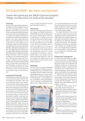 Vorschauseite 1: Zweite Aktualisierung des DNQP-Expertenstandards „Pflege von Menschen mit chronischen Wunden“